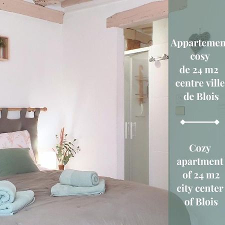 Blois City - Le Petit Saint Jean Экстерьер фото