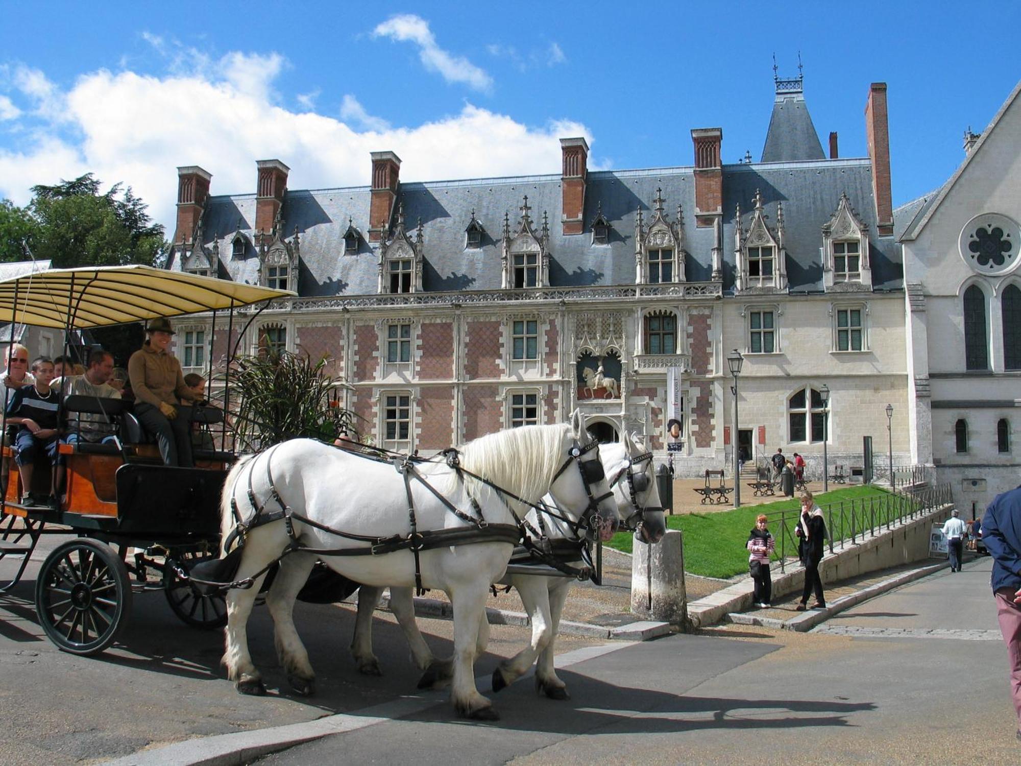 Blois City - Le Petit Saint Jean Экстерьер фото