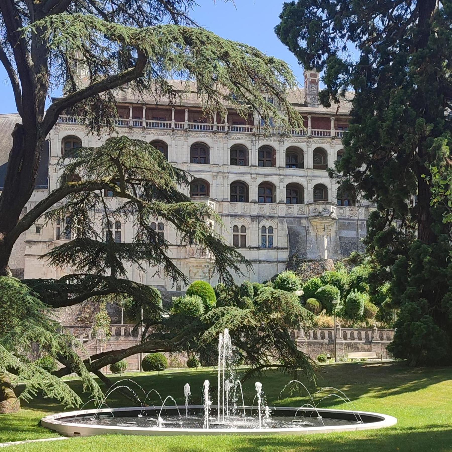 Blois City - Le Petit Saint Jean Экстерьер фото