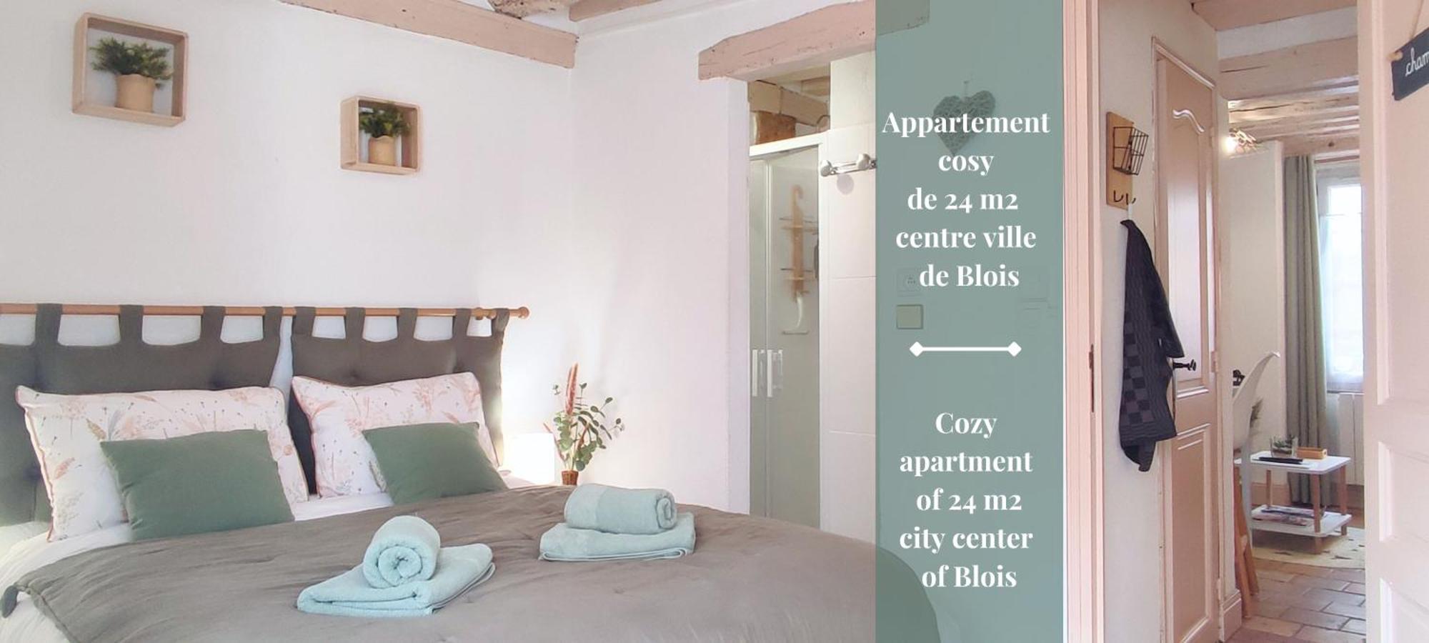 Blois City - Le Petit Saint Jean Экстерьер фото